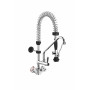 Robinet - Douchette pour plonge professionnelle