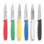 Set 6 couteaux éplucheurs 175 mm - Arredochef