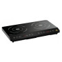 Plaque à induction professionnelle double 3500 W - Arerdochef